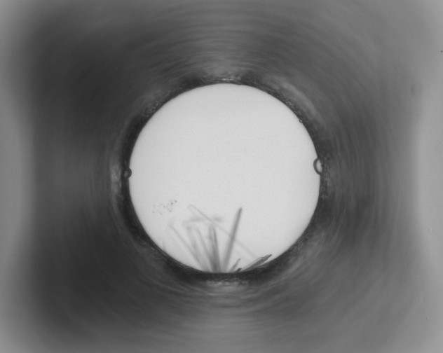 X0000101650693200808071115