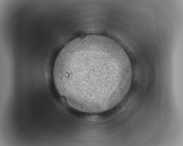 X0000101650695200808071115