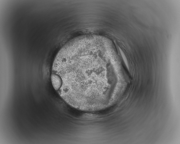 X0000101650699200808071115