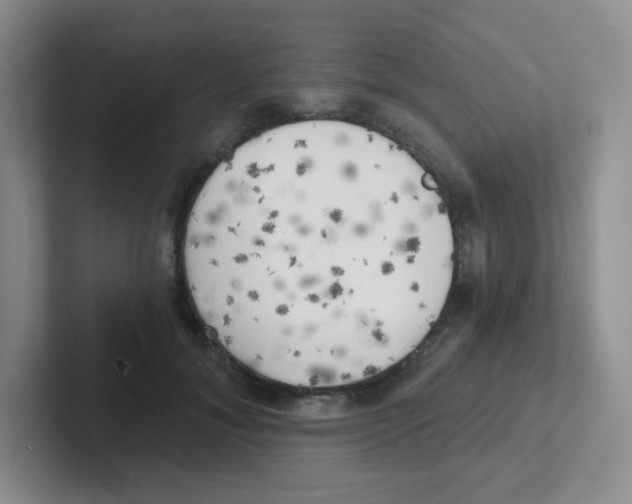 X0000101650700200808071115