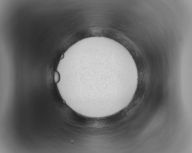 X0000101650702200808071115