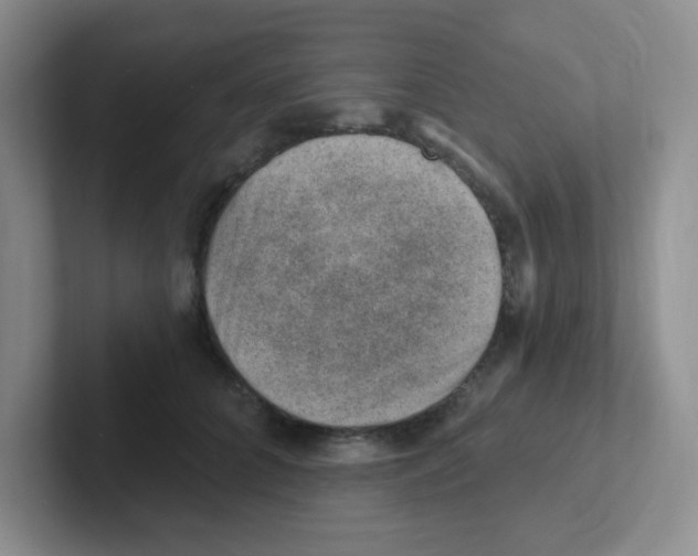 X0000101650704200808071115