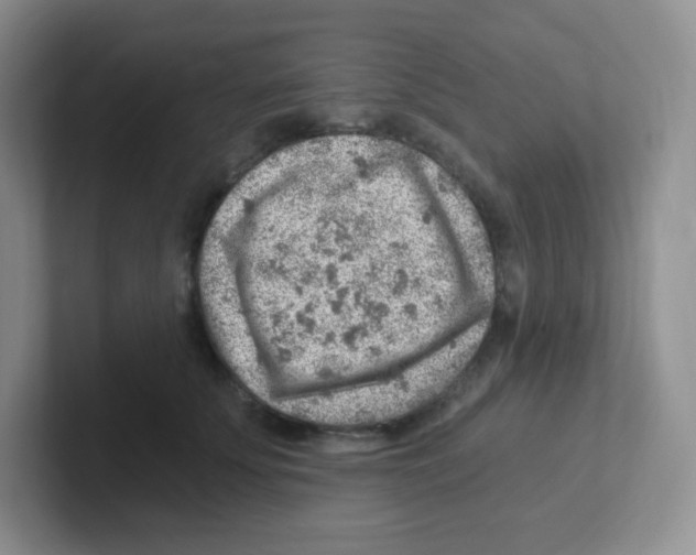 X0000101650707200808071115