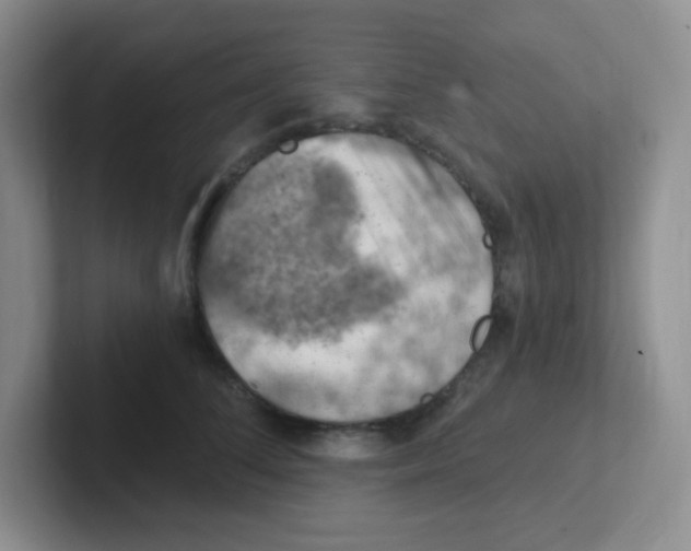 X0000101650708200808071115