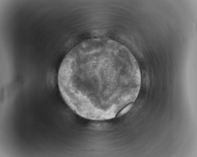 X0000101650712200808071114