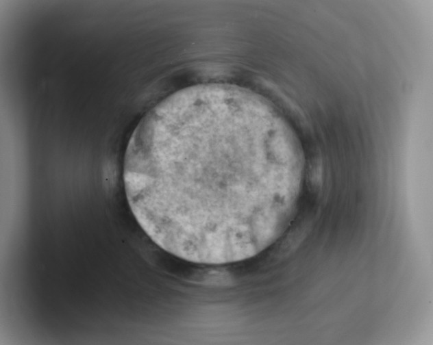 X0000101650715200808071114