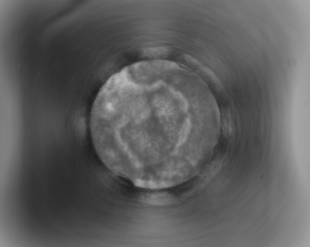 X0000101650716200808071114