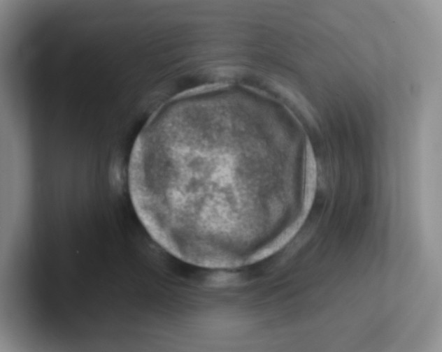X0000101650718200808071114