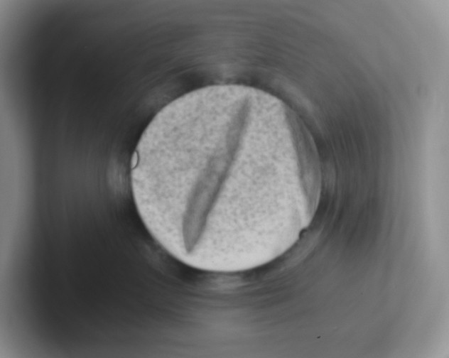 X0000101650719200808071114
