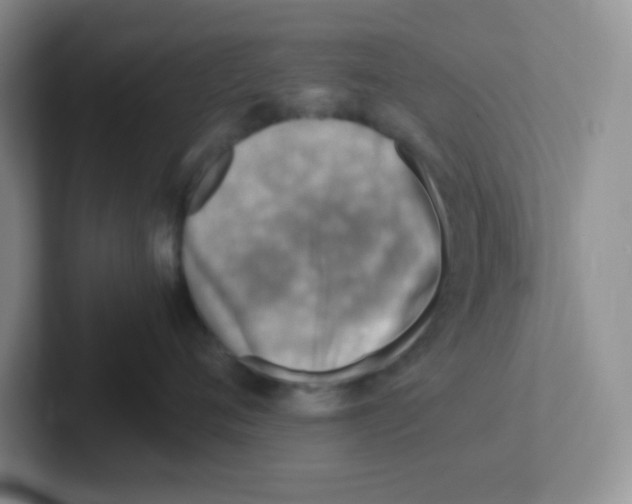 X0000101650720200808071114