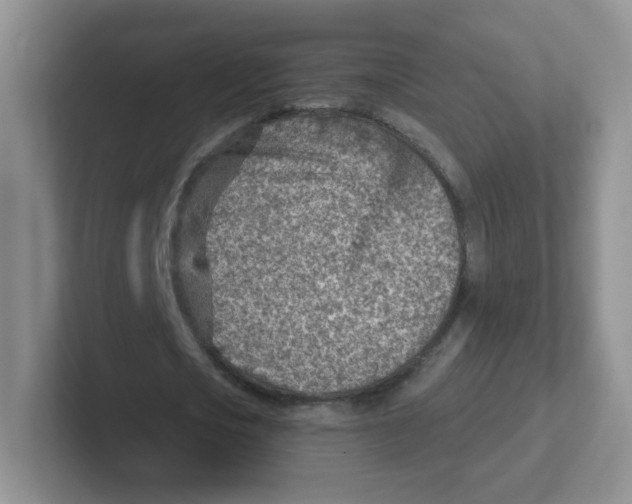 X0000101650721200808071114