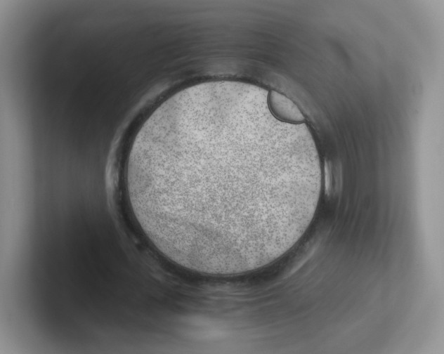 X0000101650723200808071114