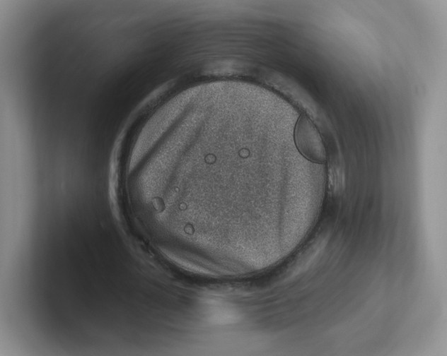 X0000101650724200808071114