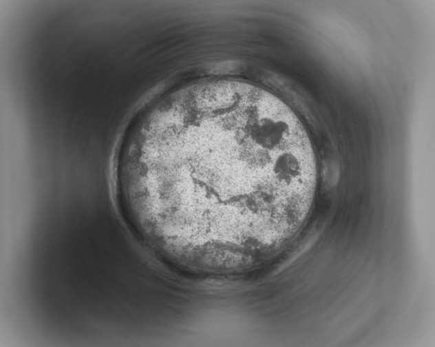 X0000101650725200808071114