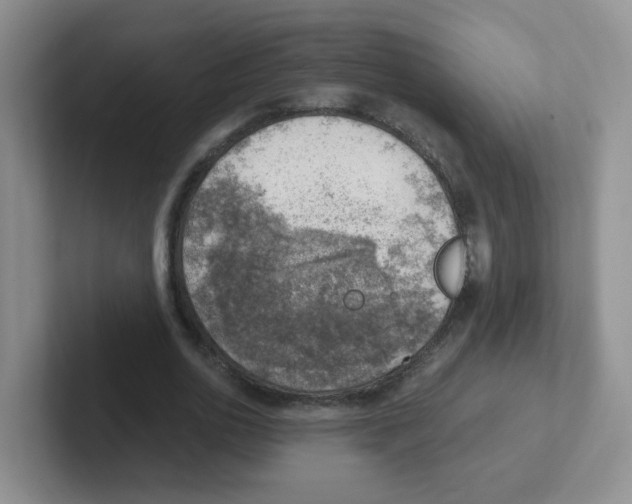 X0000101650726200808071114