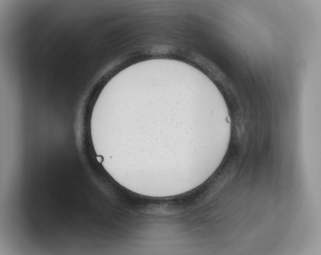 X0000101650728200808071114