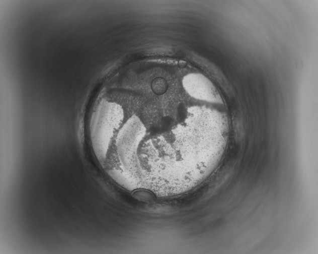 X0000101650729200808071114
