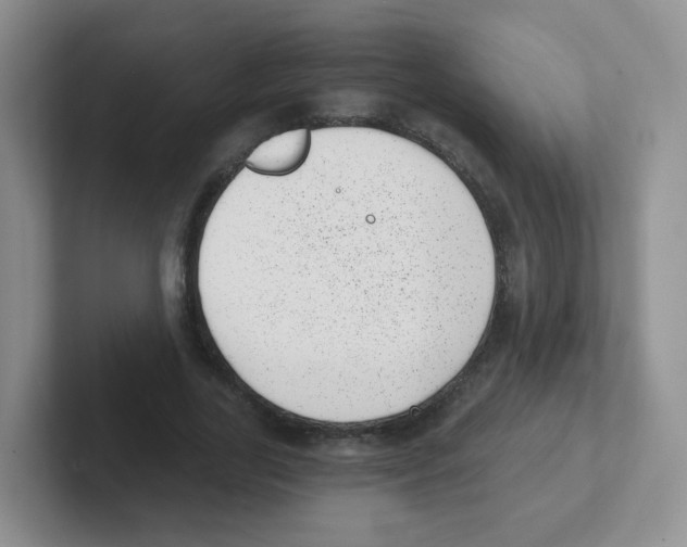 X0000101650731200808071114