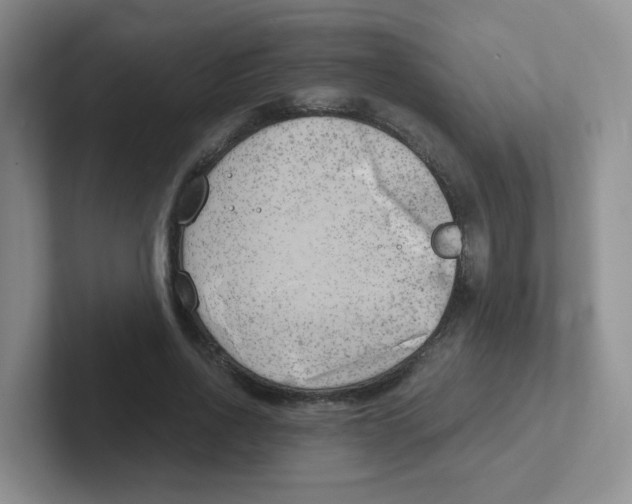 X0000101650734200808071114