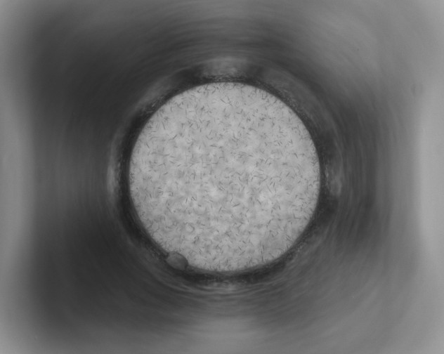 X0000101650735200808071114