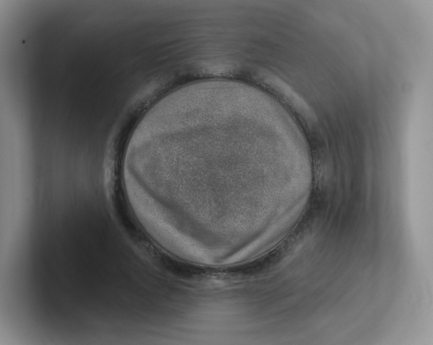 X0000101650736200808071114