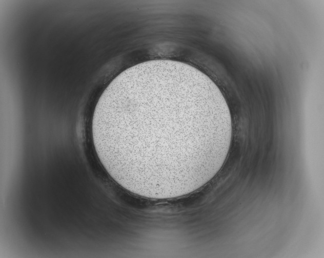 X0000101650738200808071114