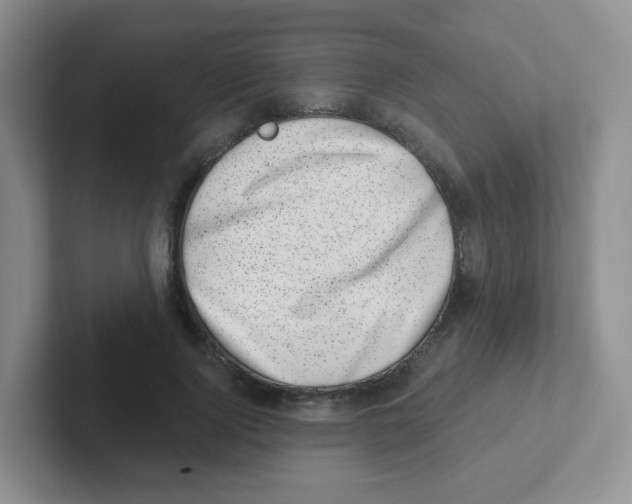 X0000101650740200808071114