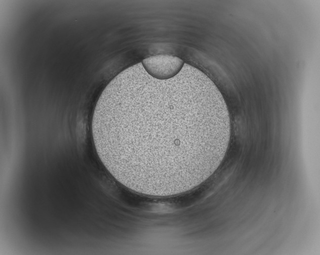 X0000101650741200808071114