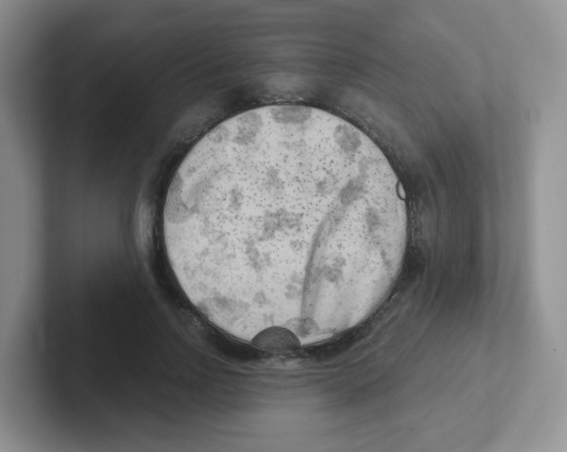 X0000101650742200808071114