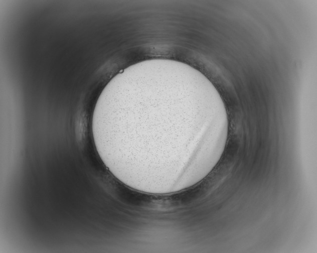 X0000101650744200808071114