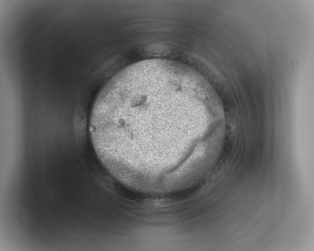 X0000101650745200808071114