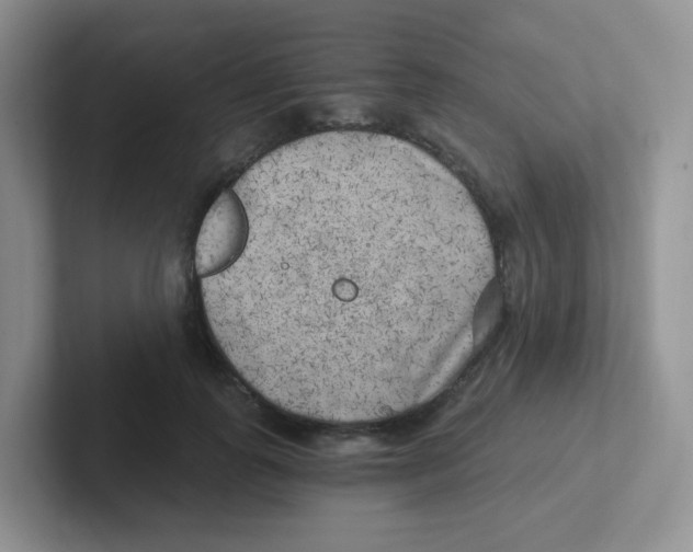 X0000101650747200808071114