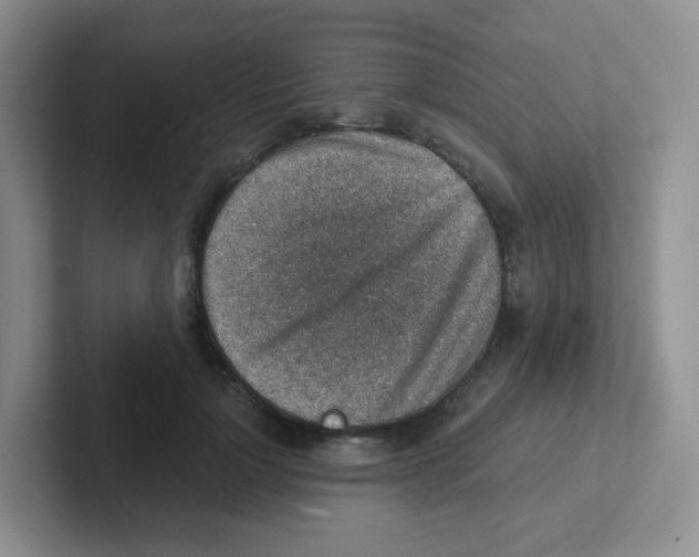 X0000101650748200808071114