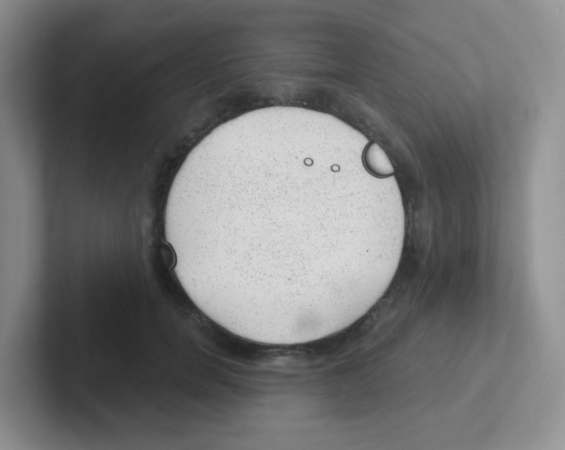 X0000101650750200808071114