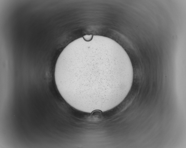 X0000101650751200808071114