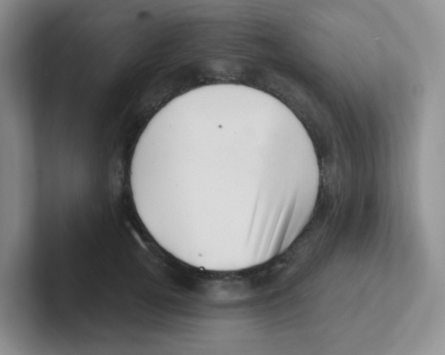 X0000101650752200808071114