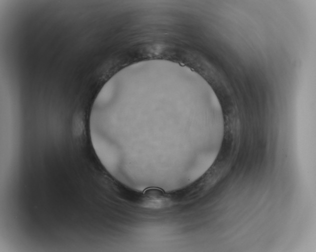 X0000101650754200808071114
