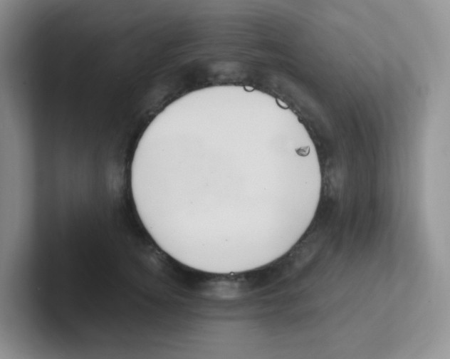 X0000101650756200808071114