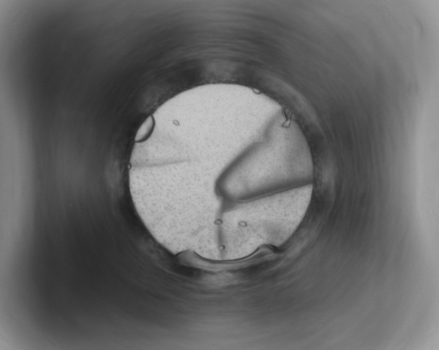 X0000101650759200808071114