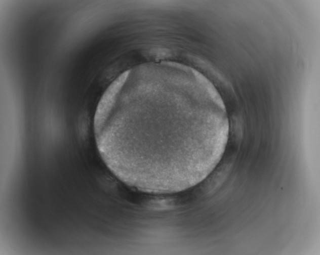 X0000101650760200808071114