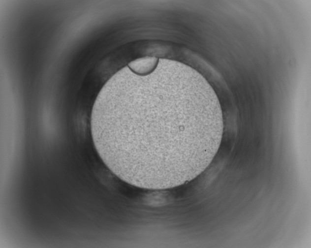 X0000101650761200808071114