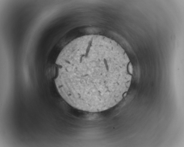 X0000101650762200808071114