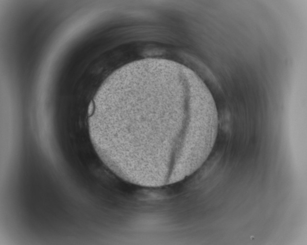X0000101650763200808071114