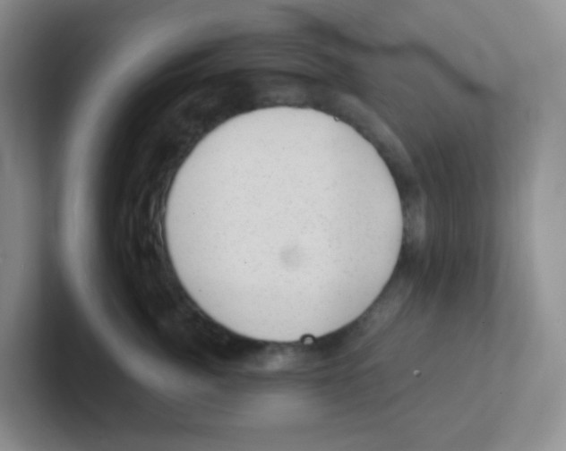 X0000101650764200808071114