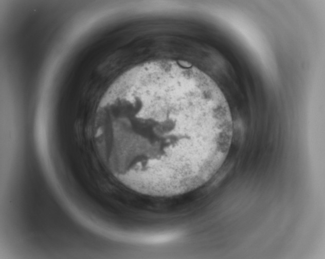X0000101650765200808071114