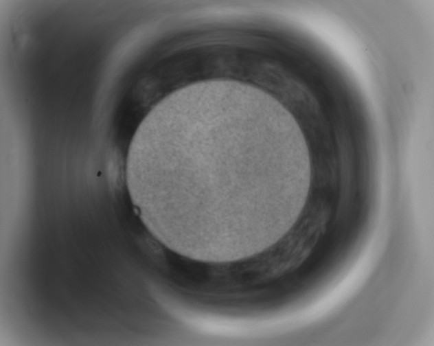 X0000101650766200808071114