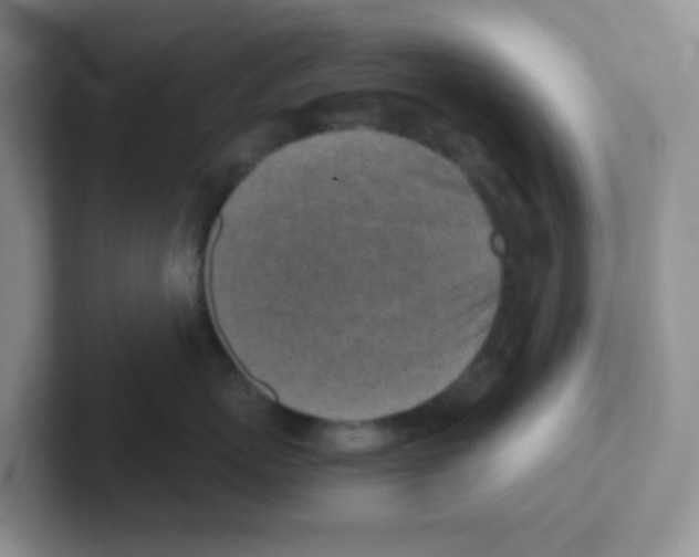 X0000101650767200808071114