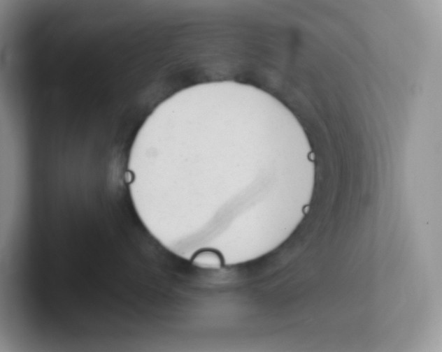 X0000101650768200808071114