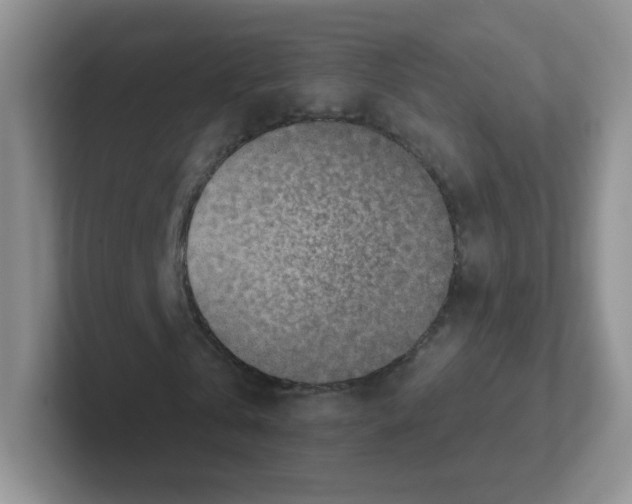 X0000101650769200808071114