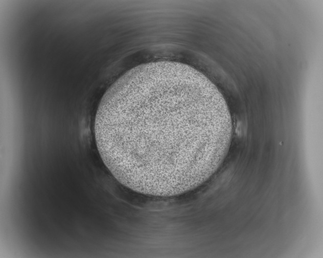 X0000101650771200808071114